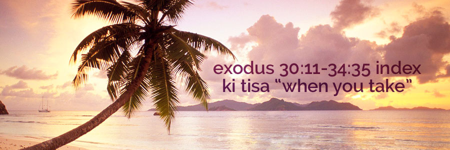 exodus 30:11-34:35 ki tisa "when you take" index